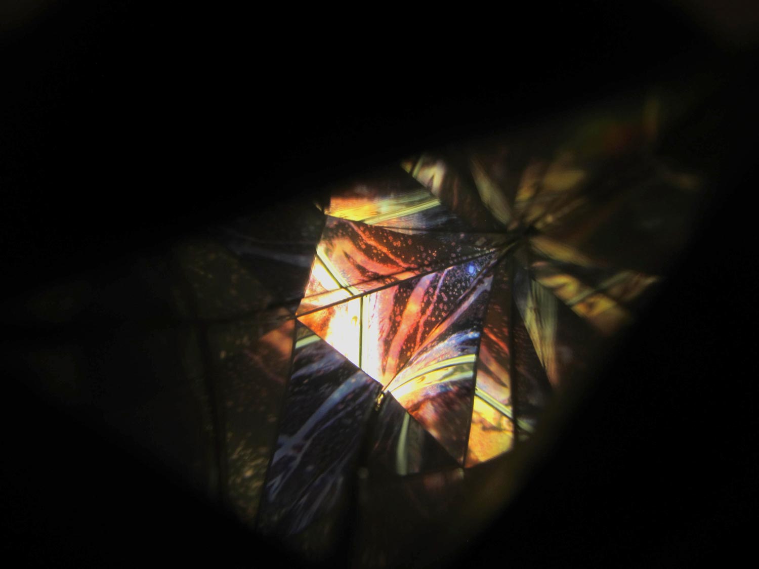 Nine Iris Bešlić 1